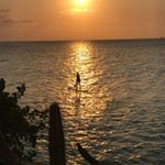 Profile Picture of Darlene DeVries (@devries_darlene) on Instagram