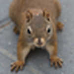 Profile Picture of John Sidey (@voodz) on Flickr
