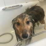 Profile Picture of Cammy (@cameron.barwick.2005) on Instagram