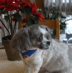 Profile Picture of Leighton Long (@leighton.long.9) on Facebook