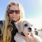 Profile Picture of Andrea Borchert (@kalmar_sweden_pictures) on Instagram