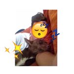 Profile Picture of Bho (@tedeschi_nicholas) on Instagram