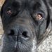 Profile Picture of Joseph Eversole (@joseph.eversole.31) on Facebook