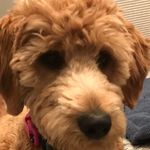 Profile Picture of Johnny Cammarata (@johnnycammarata) on Instagram