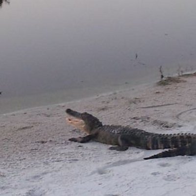 Profile Picture of Brad Dyess (@BradDyess) on Twitter