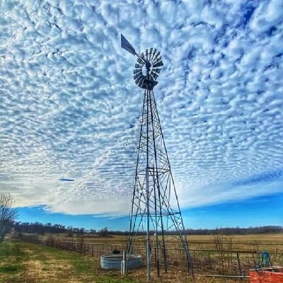 Profile Picture of Joanne Alonzo-Gloria (@MissGloZo) on Twitter