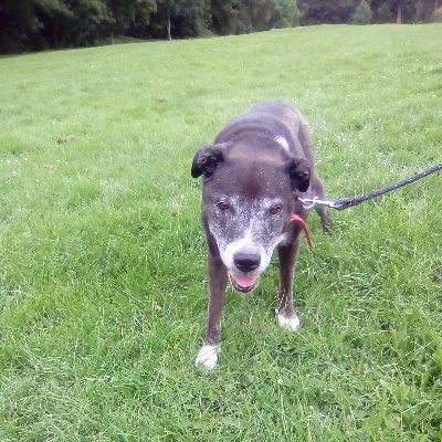 Profile Picture of Thomas Mcateer 1958 (@1958Mcateer) on Twitter