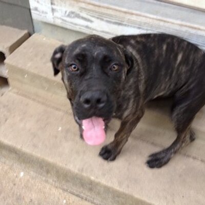 Profile Picture of Blake Richards (@richargb) on Twitter