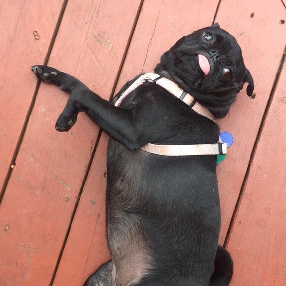 Profile Picture of L Lee (@x_x_) on Poshmark