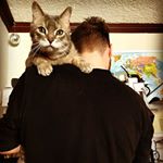 Profile Picture of Marty Lindquist (@howardthecatandsomeguy) on Instagram