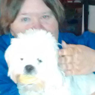 Profile Picture of Joseph Brynelsen (@joseph.brynelsen) on Facebook