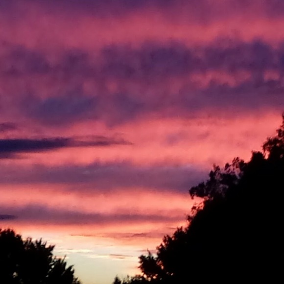 Profile Picture of M Womack (@ahwomack9120) on Poshmark