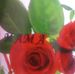 Profile Picture of Joseph Herdz (@joseph.herdz.75) on Facebook