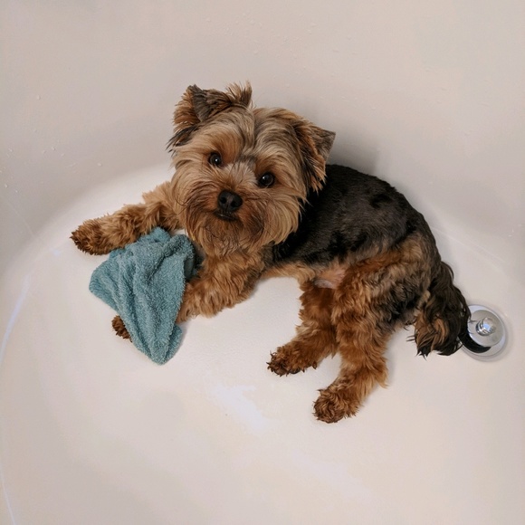 Profile Picture of Kim Trumbo-williams (@princelinus19) on Poshmark