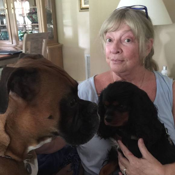 Profile Picture of Babette Varano (@babettem3) on Poshmark