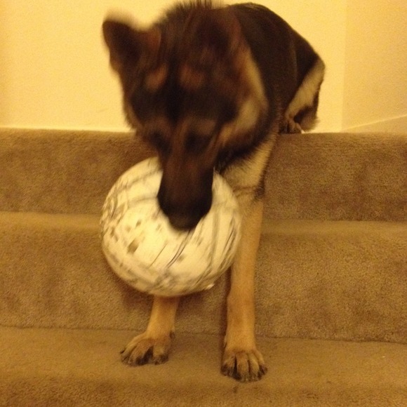 Profile Picture of Geirge Braca (@georgejam24) on Poshmark