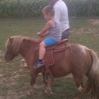 Profile Picture of Ivan Šimić (@ivan-Šimić-11) on Quora
