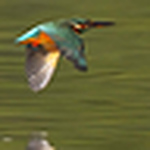 Profile Picture of Kevin Wood (@Kevin_Wood) on Flickr