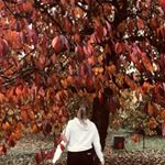 Profile Picture of biancastrandberg (@biancastrandberg) on Instagram