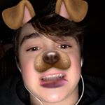 Profile Picture of Gavin Andrew Plamer (@gavinpalmer2020) on Instagram