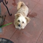 Profile Picture of Miranda Bateman (@miranda_bateman) on Instagram