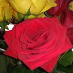 Profile Picture of Jean Richardson (@sugarcane_drop__) on Instagram