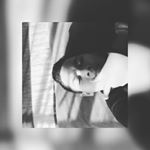 Profile Picture of Brady Daniel (@brady_dreyden) on Instagram