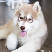 Profile Picture of Haley (@Haley-2477) on Youtube