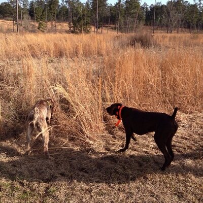 Profile Picture of Dan Hilyer (@waverlybees) on Twitter