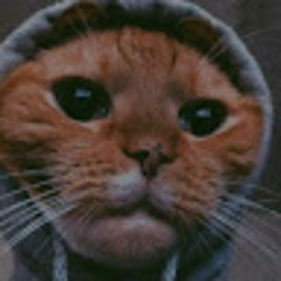 Profile Picture of Jaymie Boggess (@jaymieboggess) on Poshmark