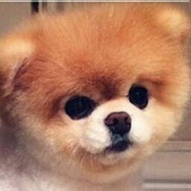 Profile Picture of Krystal Mello (@krystalmello3413) on Youtube