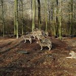 Profile Picture of Martin Spieß (@spiess.mail) on Instagram