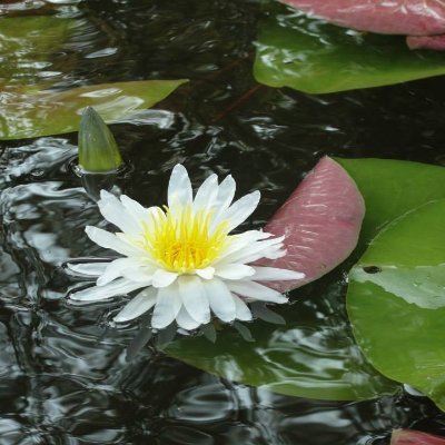 Profile Picture of Bob Faust (@BobFaust7) on Twitter