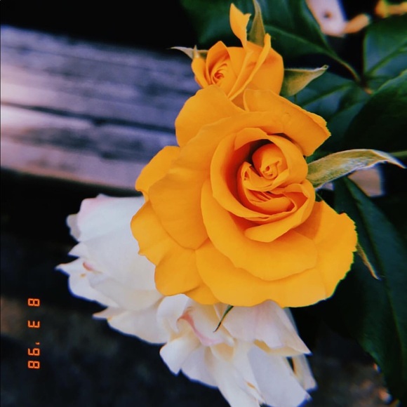 Profile Picture of Anna Pegelow (@anna_pegelow) on Poshmark