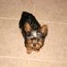 Profile Picture of Tamara Conley (@tamaraconley) on Pinterest