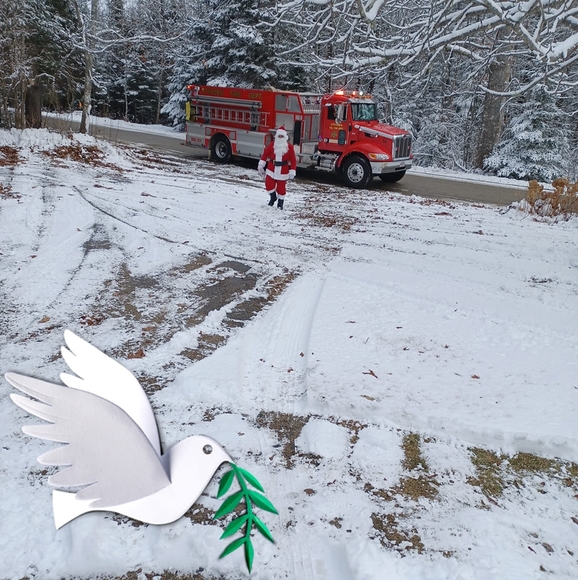 Profile Picture of Paula Tansey (@pdtansey) on Poshmark