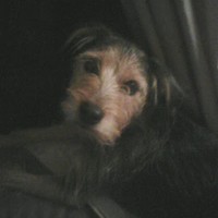 Profile Picture of Lisa Warr (@lisa-warr-1) on Quora