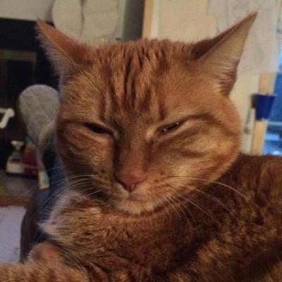 Profile Picture of Tanya Carson (@tannyfann) on Twitter