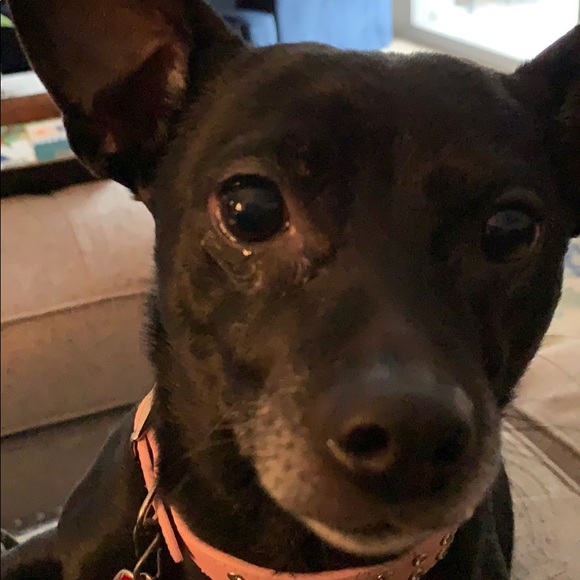 Profile Picture of Mary Maybury (@mmayburyrn) on Poshmark