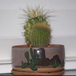 Profile Picture of Gavin Brooks (@namesgavin) on Instagram