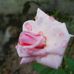 Profile Picture of Mallick Nooruddin (@nooruddin.mallick.100) on Facebook