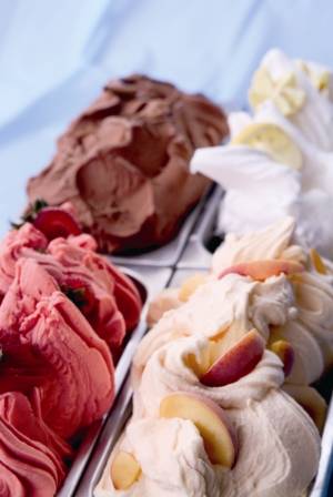 Profile Picture of Gelatoon Wikipedia