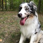Profile Picture of jacob_osterhout (@jacob_osterhout) on Instagram