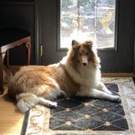 Profile Picture of jason Thornberry (@thorn_224) on Instagram