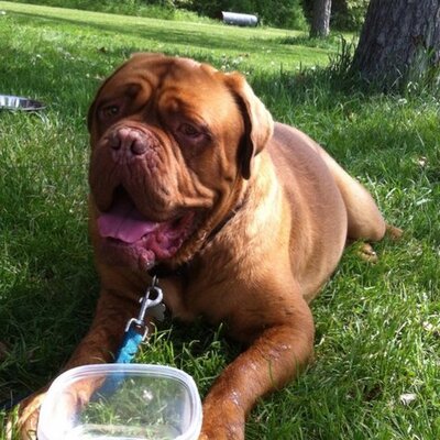 Profile Picture of Franz Zwicklbauer (@fjzwick) on Twitter