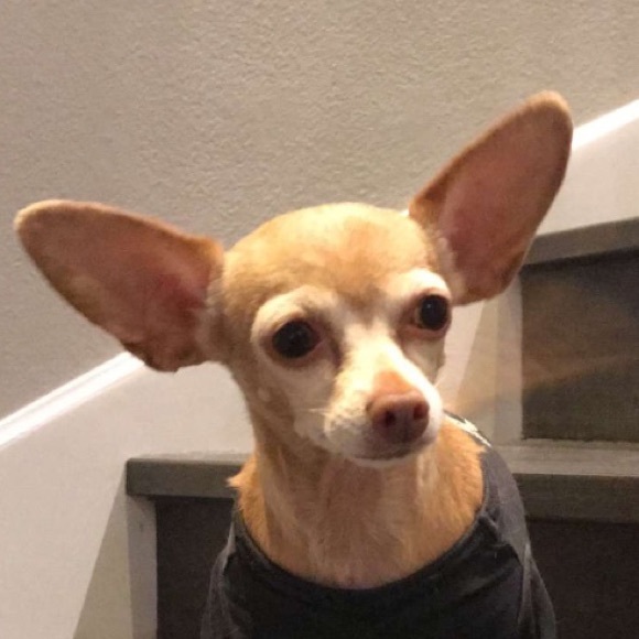 Profile Picture of Jordyn Steinhilber (@withluvfromjo) on Poshmark