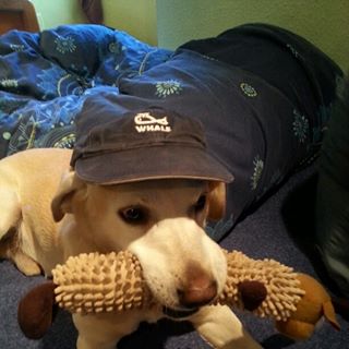 Profile Picture of Lj Ratcliffe (@Lj-Ratcliffe) on Facebook