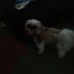 Profile Picture of Joel Kremer (@joel.kremer.3) on Facebook