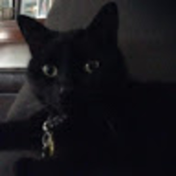 Profile Picture of Michael Cicchini (@mcicchini) on Poshmark