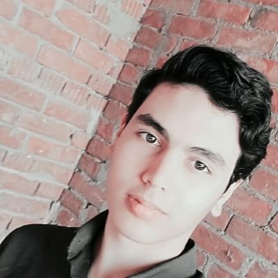 Profile Picture of Ahmed Anwar Shahin (@AhmedAnwarShah2) on Twitter